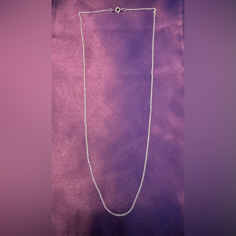 Platinum 18” chain NWOT